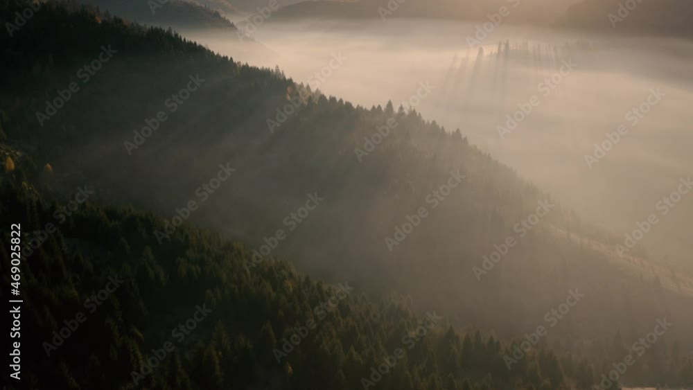 Morning haze in the fresh mountain forest. Morning haze in the fresh mountain forest.