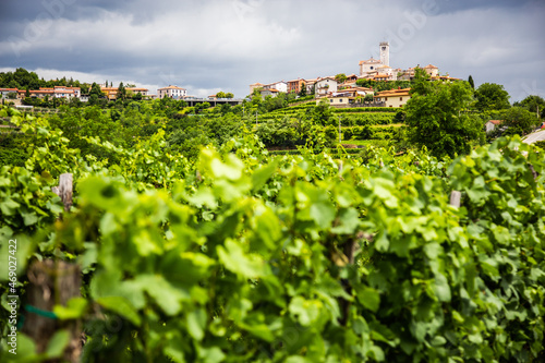 Smartno medieval village in Goriska Brda region, Slovenia.