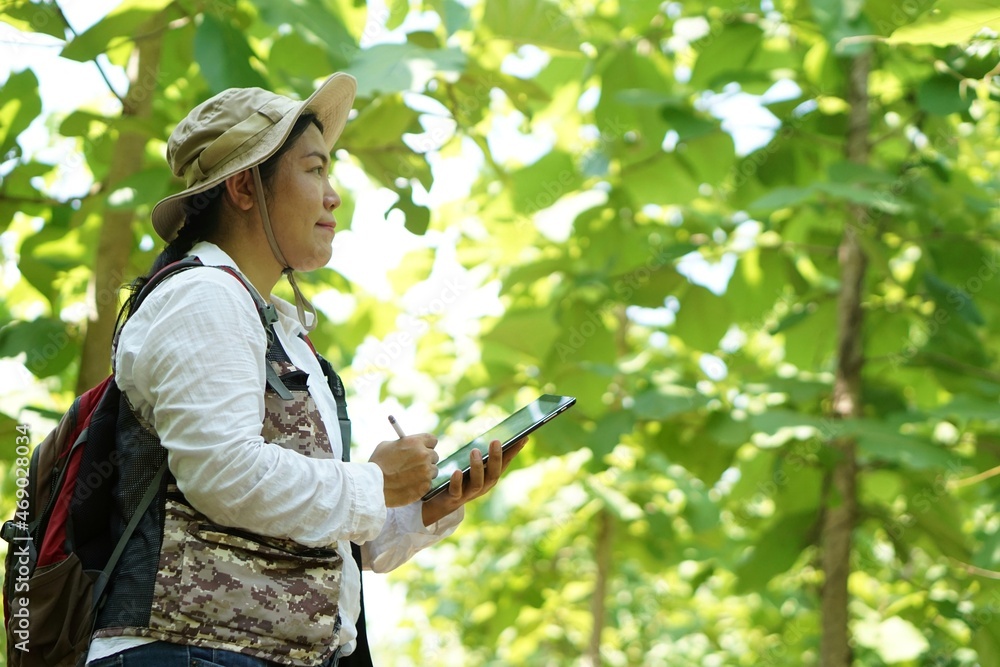 Asian female backpack hiker travel alone in forest , take photos, survey and collect information of botanical plants by using smart tablet. Concept :  backpacking tourism, adventure, field research  - obrazy, fototapety, plakaty 