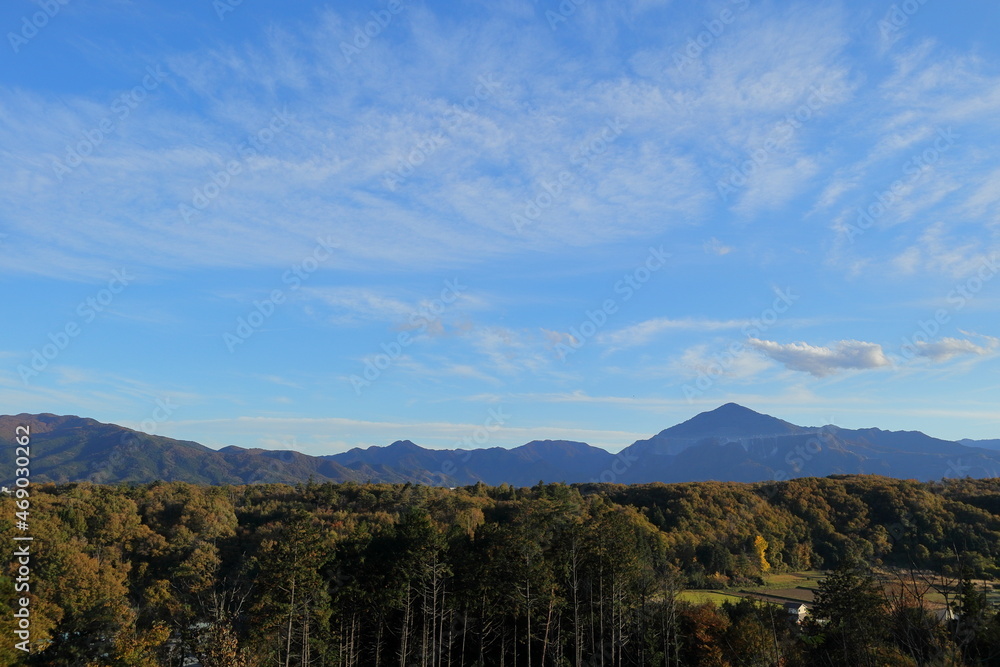 Fototapeta premium 日本・秩父の風景