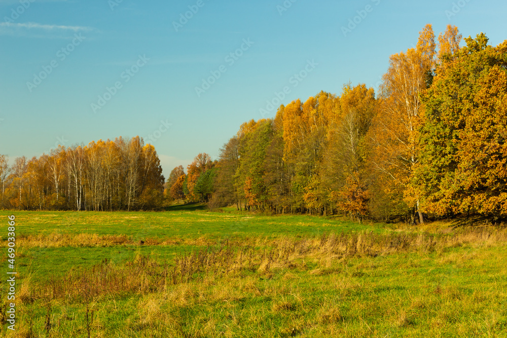 Landscape - the edge of the forest. A forest with a predominance of deciduous trees, a multi-colored palette,

