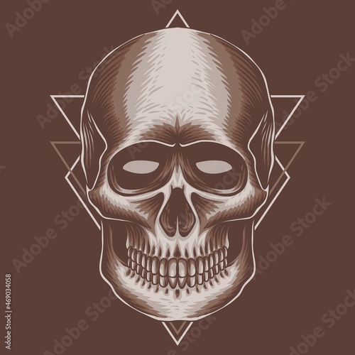 Skull head vector illustration