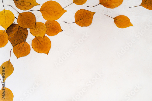 Flatlay composition text frame autumn yellow leaves white relief background