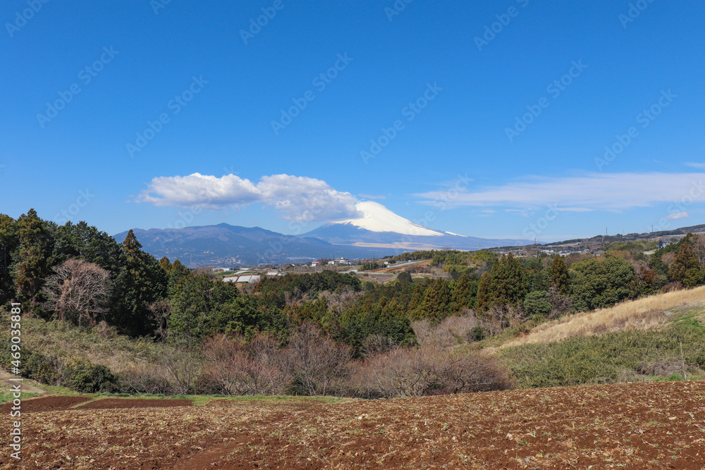 Naklejka premium 箱根山麓から見た富士山（静岡県三島市・函南町）