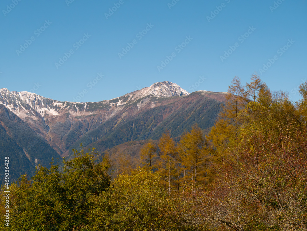 紅葉の夜叉神峠から見た白峰三山（北岳）