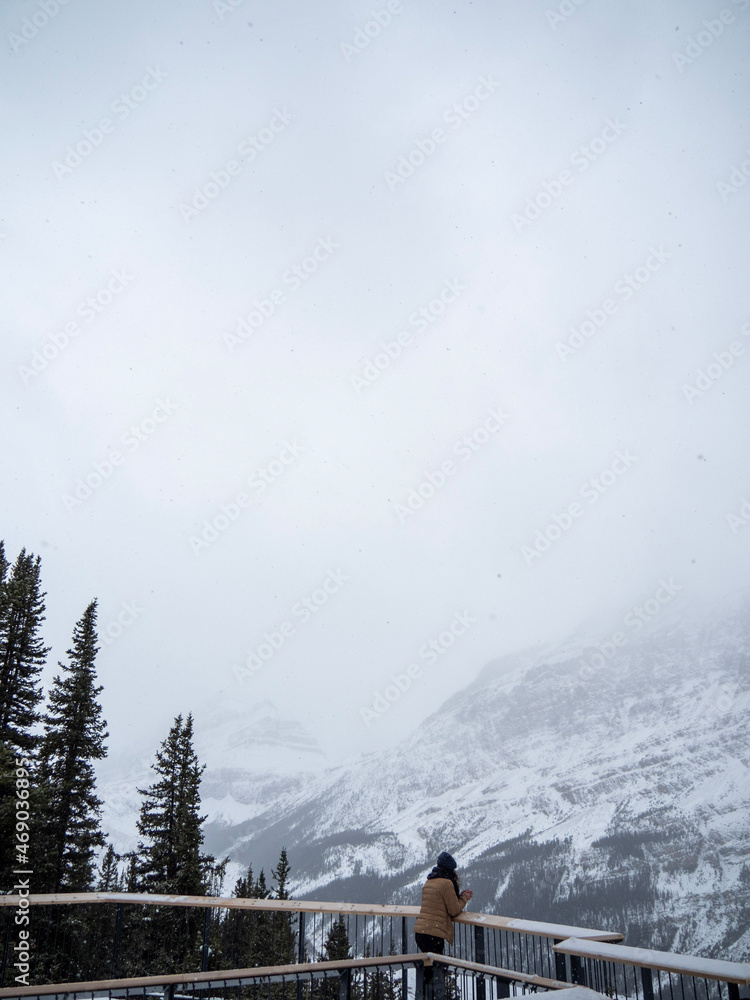 Fototapeta premium winter in the mountains