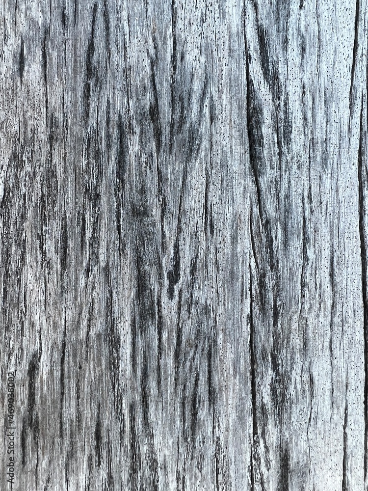 blur Bark pattern is seamless texture from tree. For background wood work, Bark of brown hardwood, thick bark hardwood, residential house wood. blur Bark pattern is seamless texture from tree. For background wood work, Bark of brown hardwood, thick bark hardwood, residential house wood.