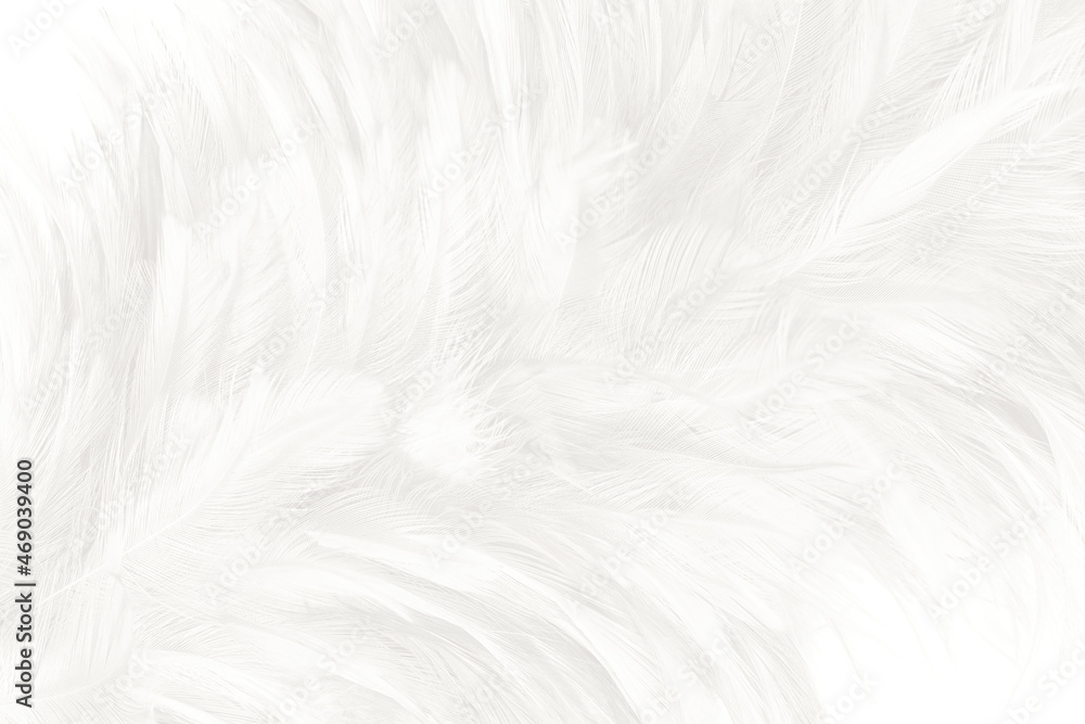 Obraz premium white feather wooly pattern texture background