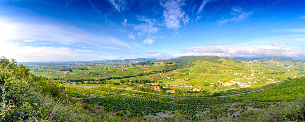 Vue panoramique sur les vignes et la paysage Beaujolais, France