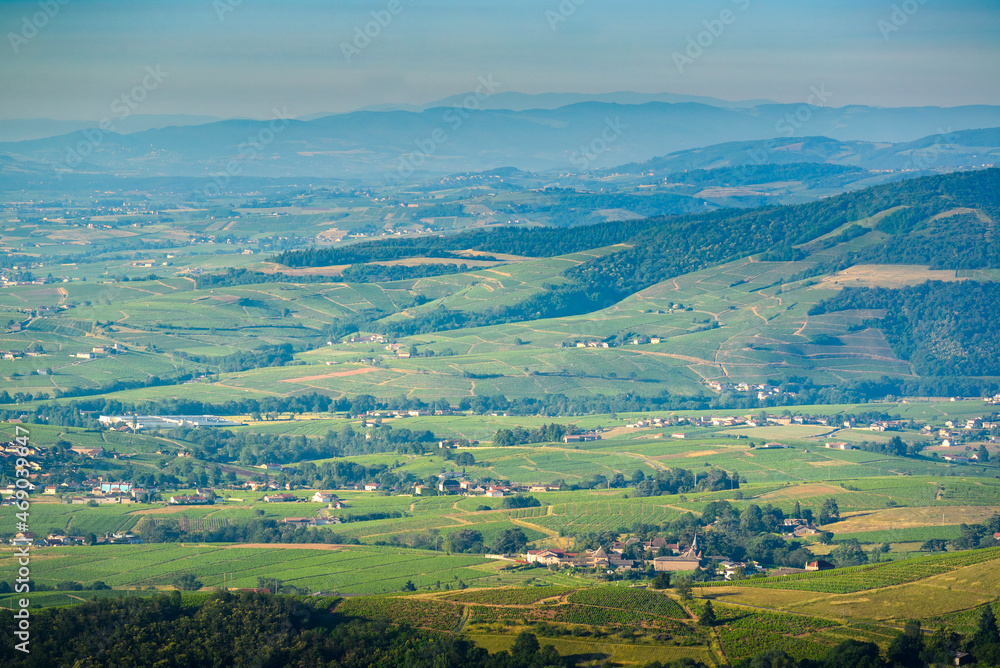 Vignes et monts du Beaujolais, France