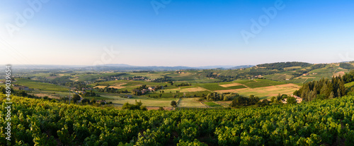 Vignoble du Beaujolais, avec vue sur Montmelas et Saint Julien, France photo