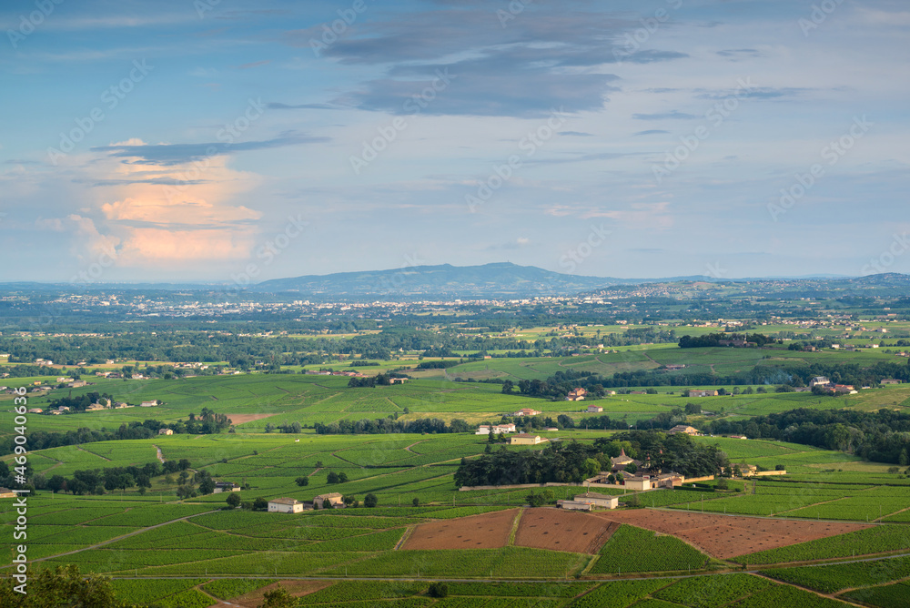 Landscape of vineyards, Beaujolais