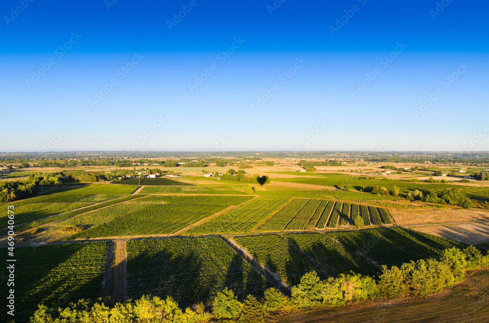 Vineyards landscape in Beaujolais land