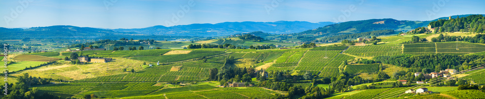 Panoramic view of Beaujolais land, France