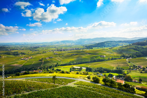 Landscape of Beaujolais  France