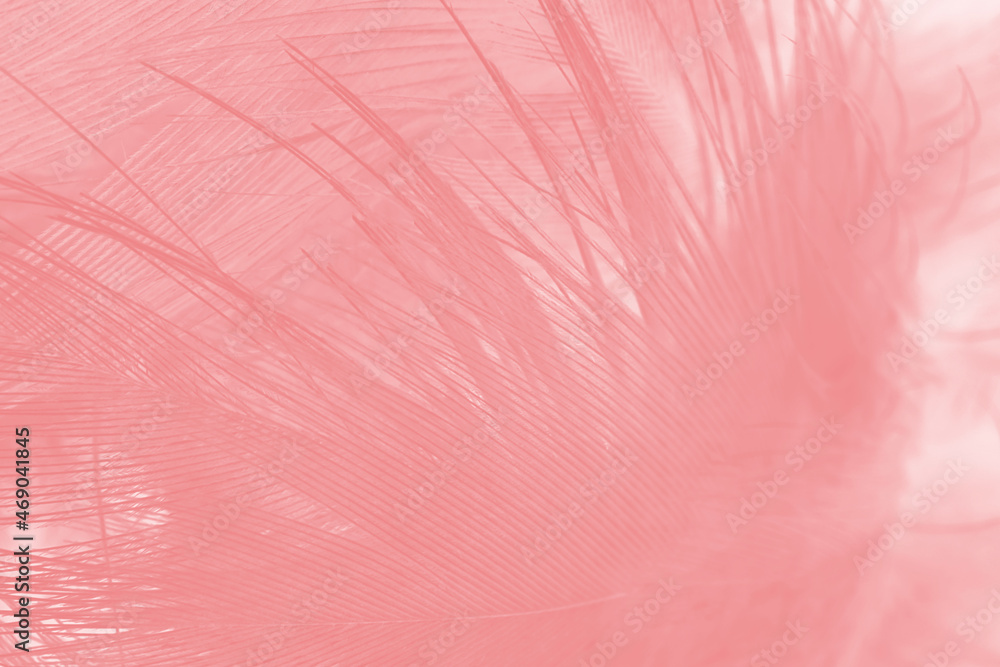 Beautiful soft pink feather pattern texture background Beautiful soft pink feather pattern texture background