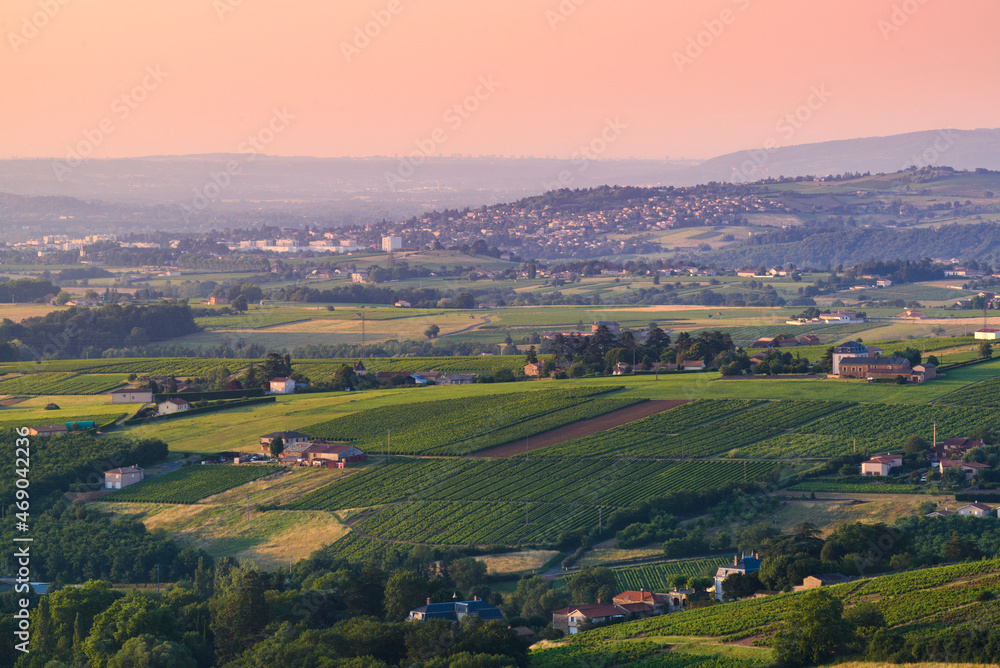 Paysage de vignes et vue sur Limas, Beaujolais, France