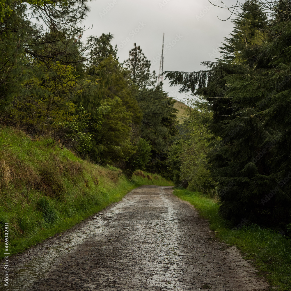 road in the mountains