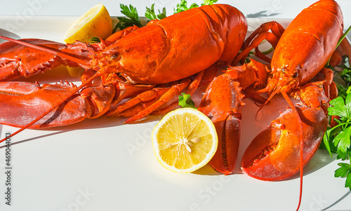 Two fresh bright red steamed lobster on a white table with parsley and lemon halves in bright sun photo