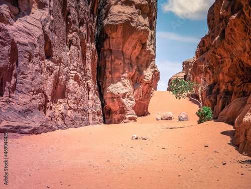 Abu Khashaba canyon in Wadi Rum red rock desert, Jordan.