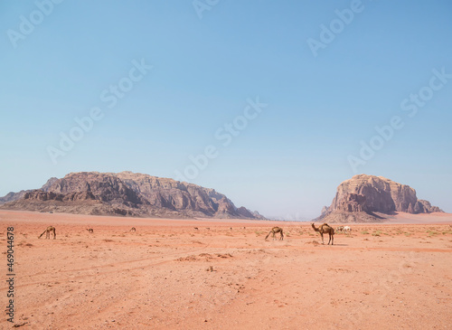 Scenic view from Wadi Rum rocky desert  in Jordan. Desert landscape