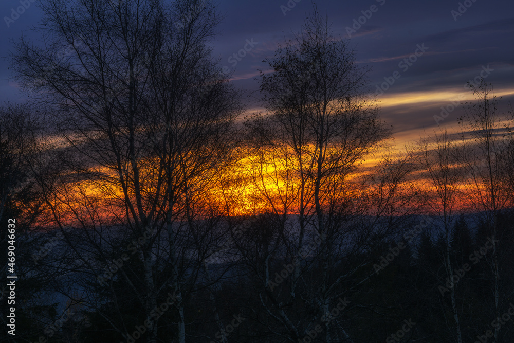 Sunrise in the beskids, emerging behind the trees