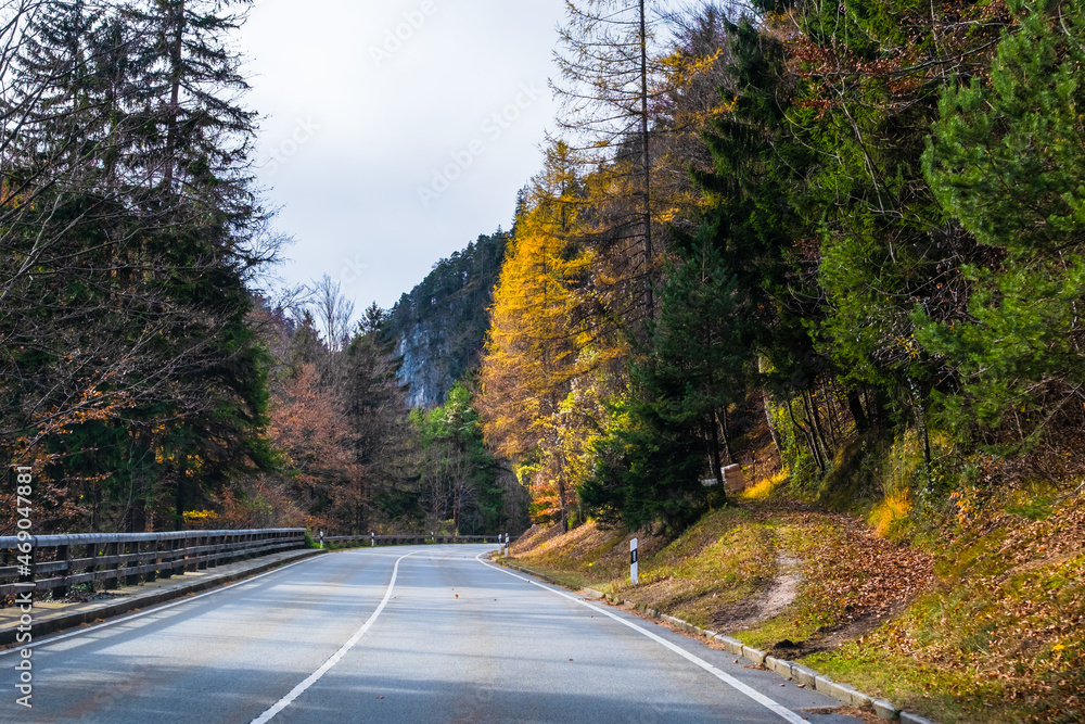 Fototapeta premium road in autumn