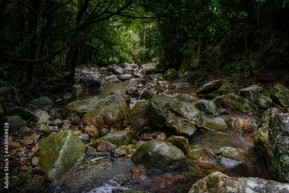 A mountain stream flows through the rainforest
A mountain stream flows through the rainforest