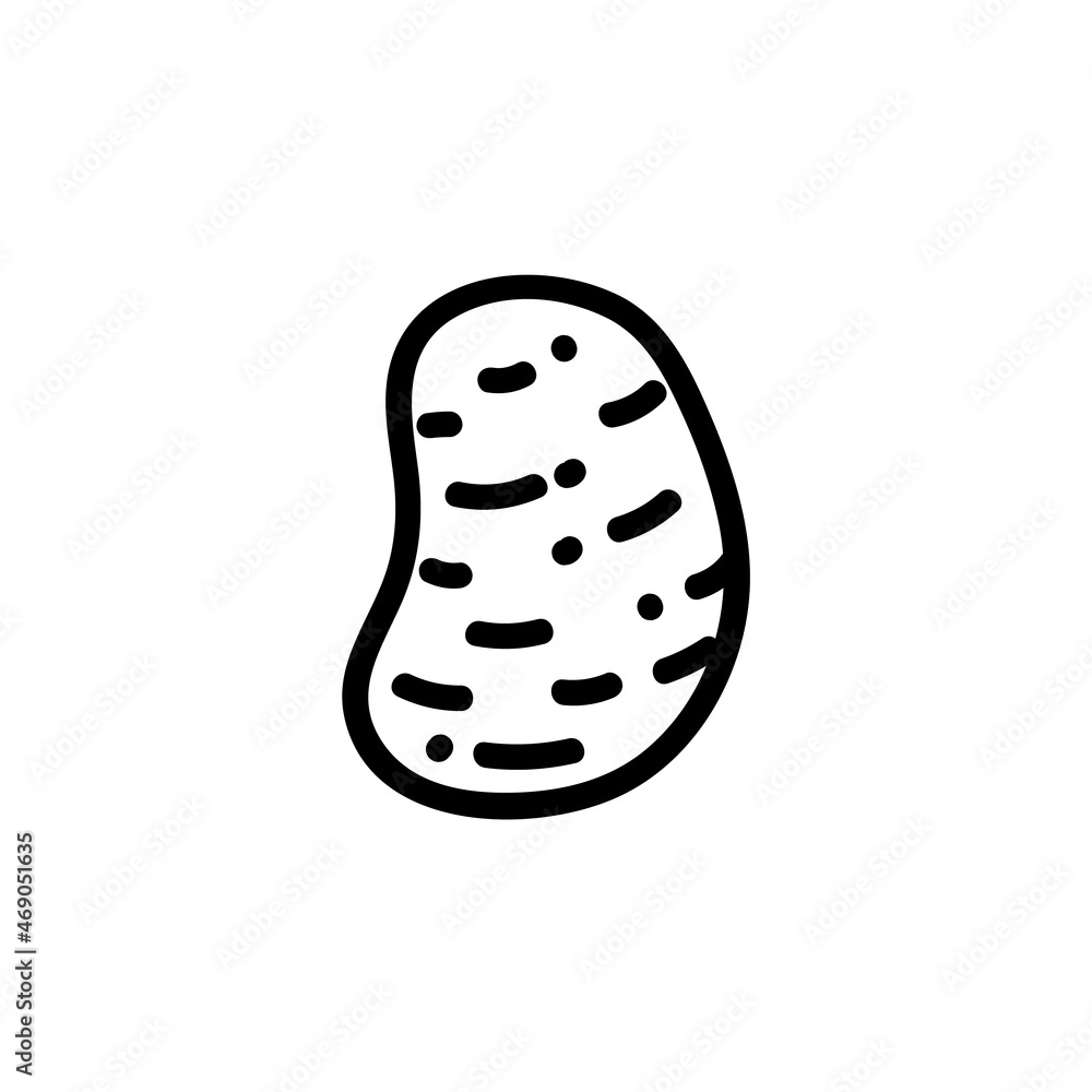 Potato flat outlined icon. Vector vegetable logo isolated on white background. Vegan food symbol, media glyph for web