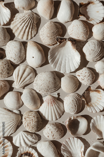 Fotografia Lots of beige and white seashells