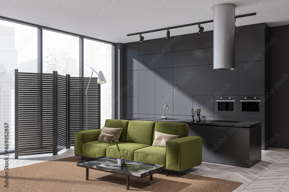 Fototapeta premium Corner view of grey and green living space with double sided kitchen