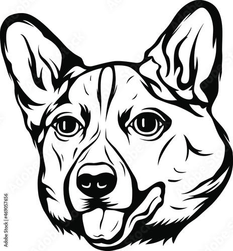 Hand drawn face of dog. Black and white corgi vector illustration mascot art