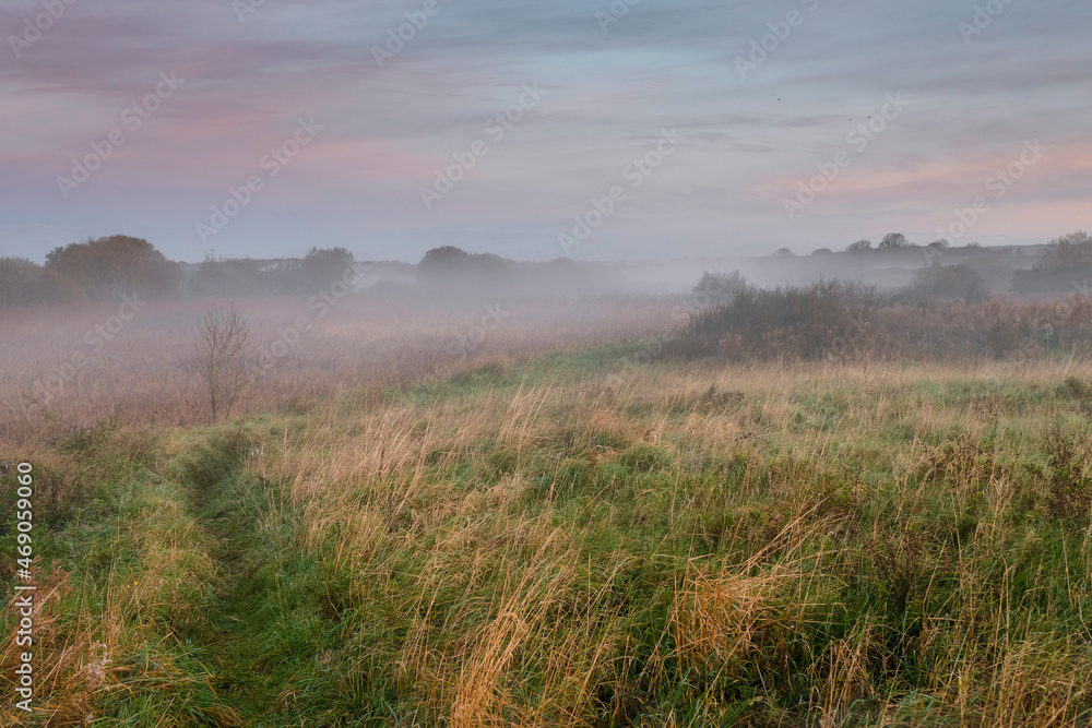 Small walking path on the leftin a field leads into fog. Soft pastel cloudy sky. Stunning nature landscape. Calm and peaceful atmosphere. Nobody. Warm colors. Sunrise hour.