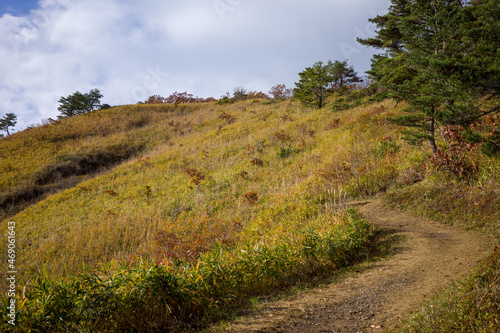 とても美しい日本の岡山県の蒜山高原の三平山の紅葉