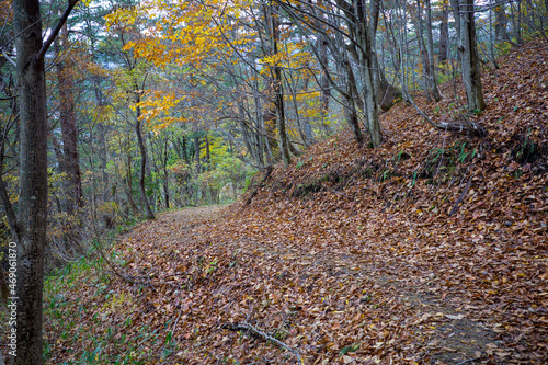 とても美しい日本の岡山県の蒜山高原の三平山の紅葉