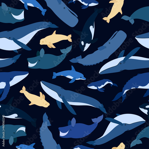Seamless pattern of whales. Beluga, killer whale, humpback whale, cachalot, blue whale, dolphin, bowhead, southern right whale, sperm hale. Underwater world, Marine. Vector illustration of a whales