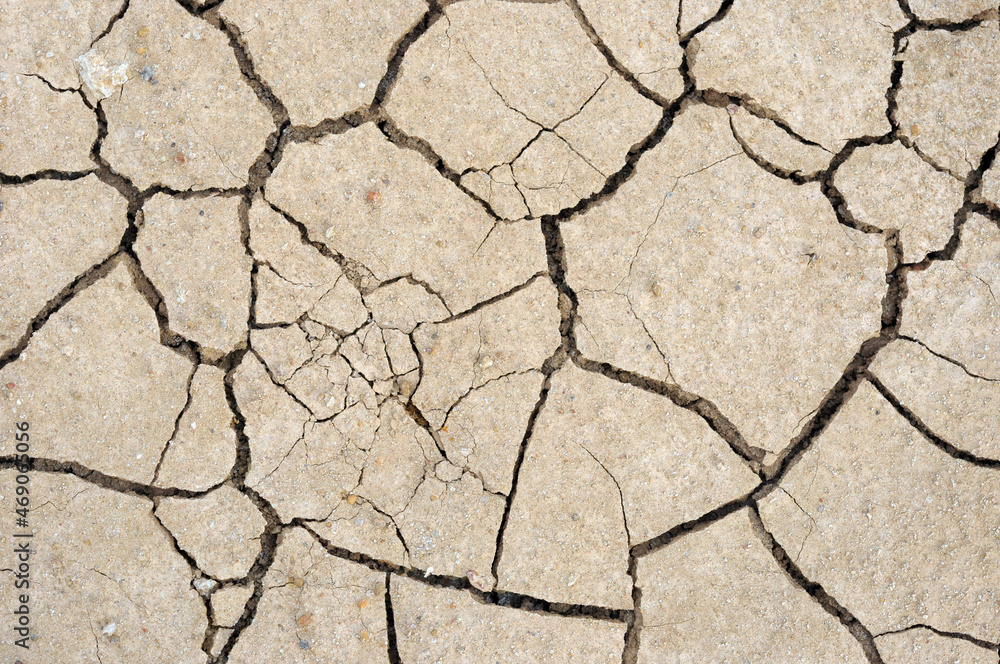 Fototapeta premium dry cracked earth