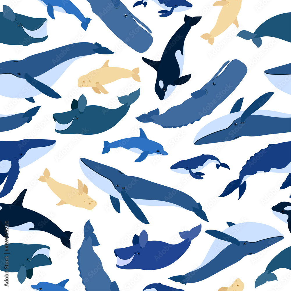 Seamless pattern of whales. Beluga, killer whale, humpback whale ...