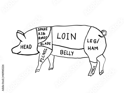 simple isolated black and white color childish hand drawn lines doodle of cut pork for food with the name of pig part element for wallpaper, background, cover, food diagrams etc. vector design.