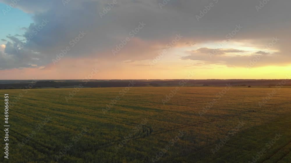 Modern agriculture. Aerial view of green agricultural field on sunny day. Drone flying over green field harvest crops in the countryside. Technology innovation in agricultural industry. Modern agriculture. Aerial view of green agricultural field on sunny day. Drone flying over green field harvest crops in the countryside. Technology innovation in agricultural industry.