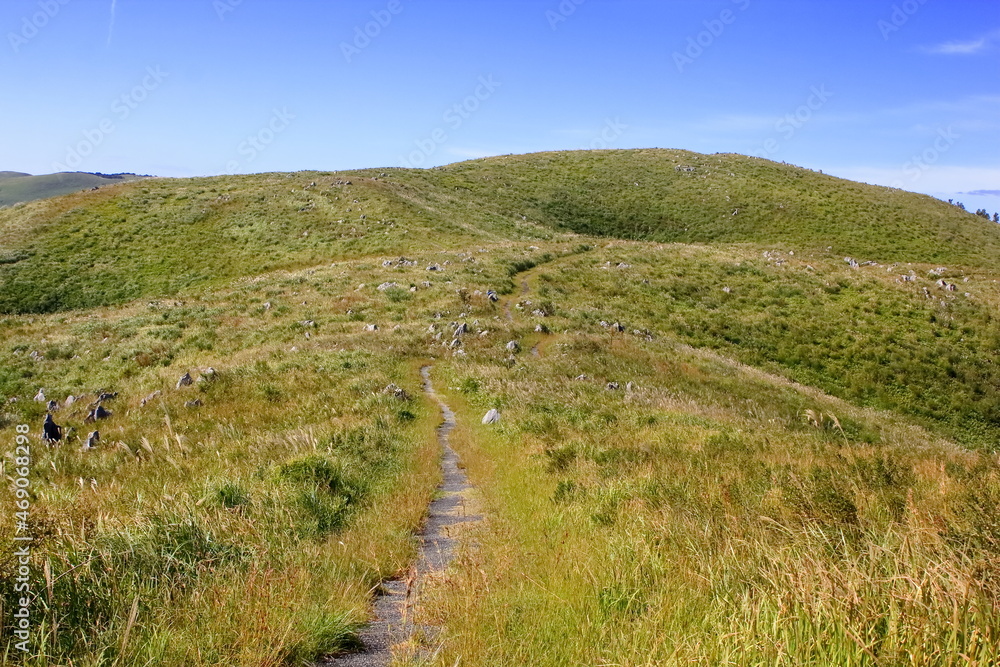 高原の遊歩道