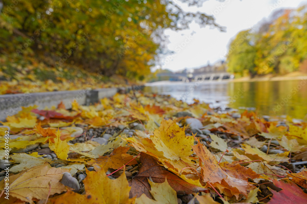 River Isar with colorful trees and leaves in autumn macro River Isar with colorful trees and leaves in autumn macro