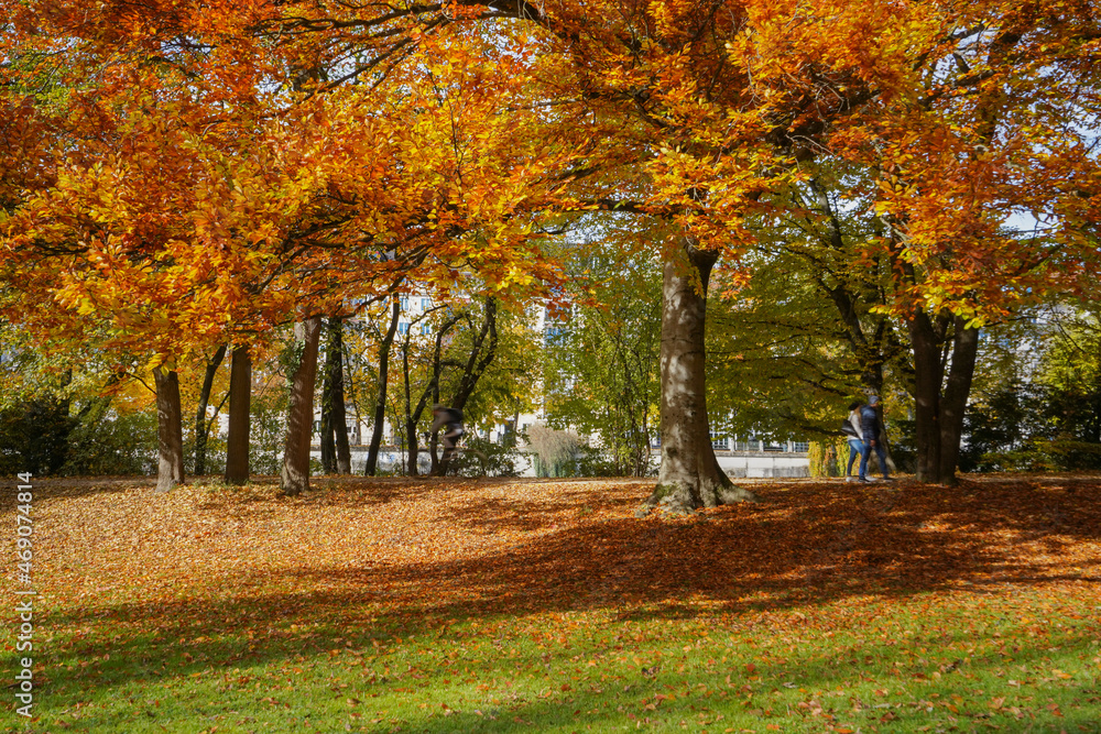 Colorful trees and leaves in a park in autumn with blurred people walking