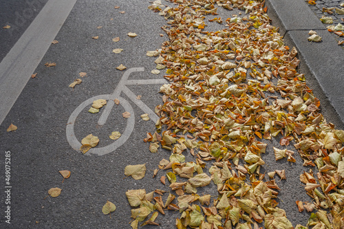 Wallpaper Mural Autumn leaves on bike path with symbol on asphalt Torontodigital.ca