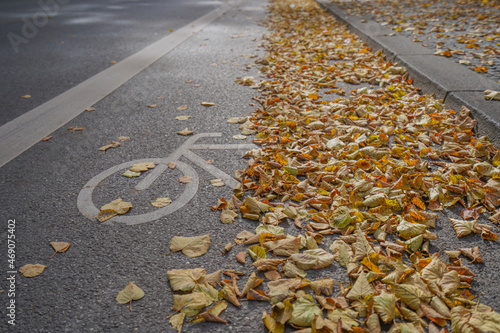 Wallpaper Mural Autumn leaves on bike path with symbol on asphalt Torontodigital.ca