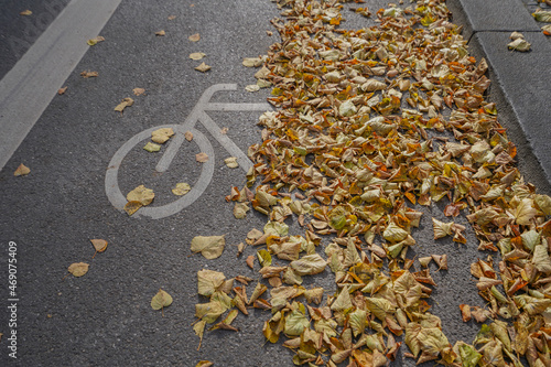 Wallpaper Mural Autumn leaves on bike path with symbol on asphalt Torontodigital.ca