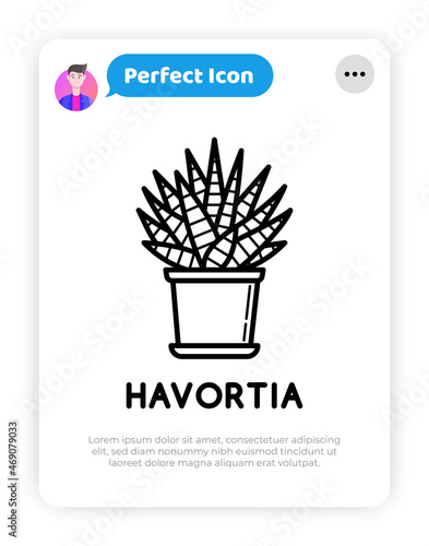 Succulent Haworthia in pot thin line icon. Modern vector illustration of house plant.