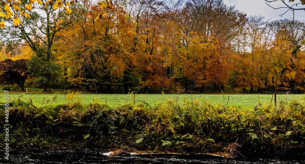 Glenarm Forest Park in Autumn, Glens of Antrim, County Antrim, Northern Ireland