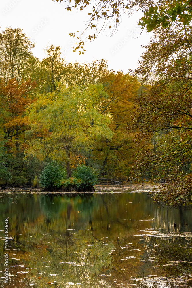 Fototapeta premium Teichlandschaft bei Bischofswerda- Horkaer Teiche