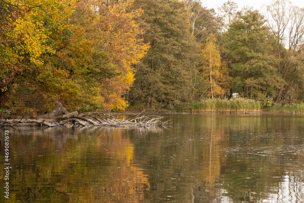 Fototapeta premium Teichlandschaft bei Bischofswerda- Horkaer Teiche